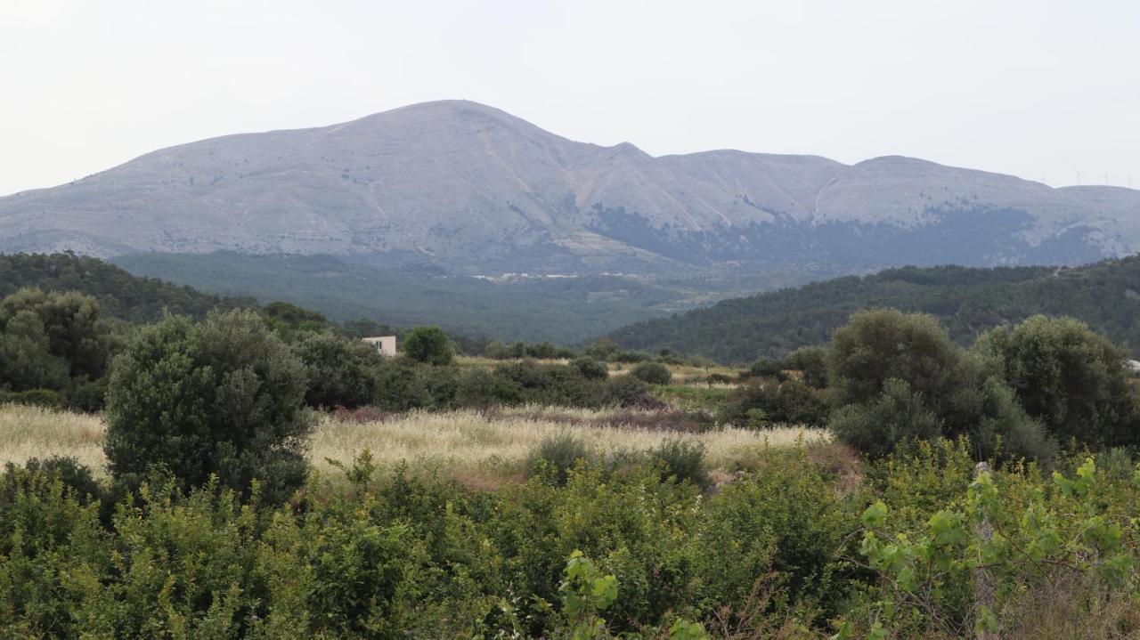 Echo Traditional House - Ηχώ Παραδοσιακό Σπίτι Émbonas 外观 照片