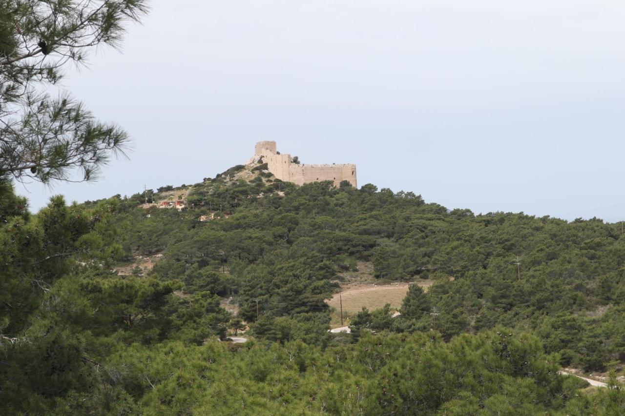 Echo Traditional House - Ηχώ Παραδοσιακό Σπίτι Émbonas 外观 照片